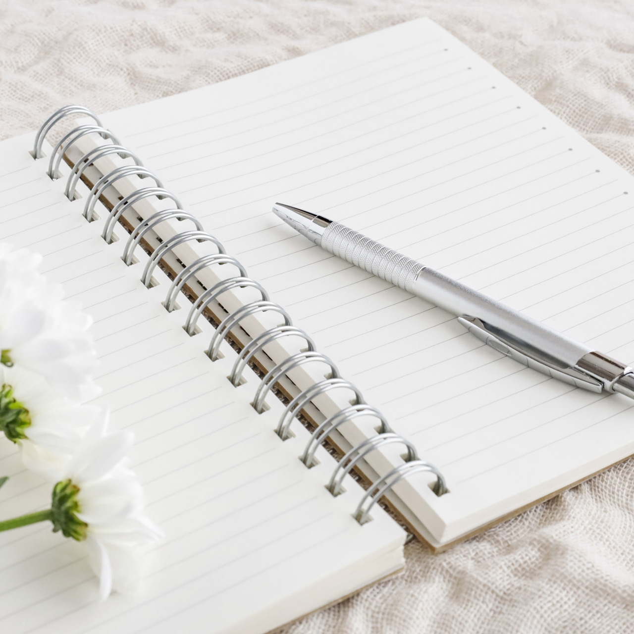 早めの相談で、 空き家の価値を守ります